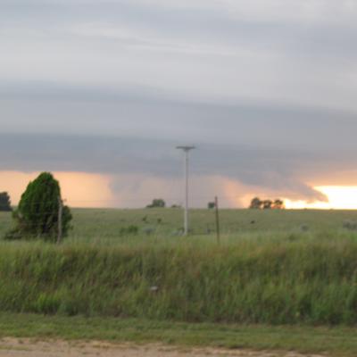 Img 0559